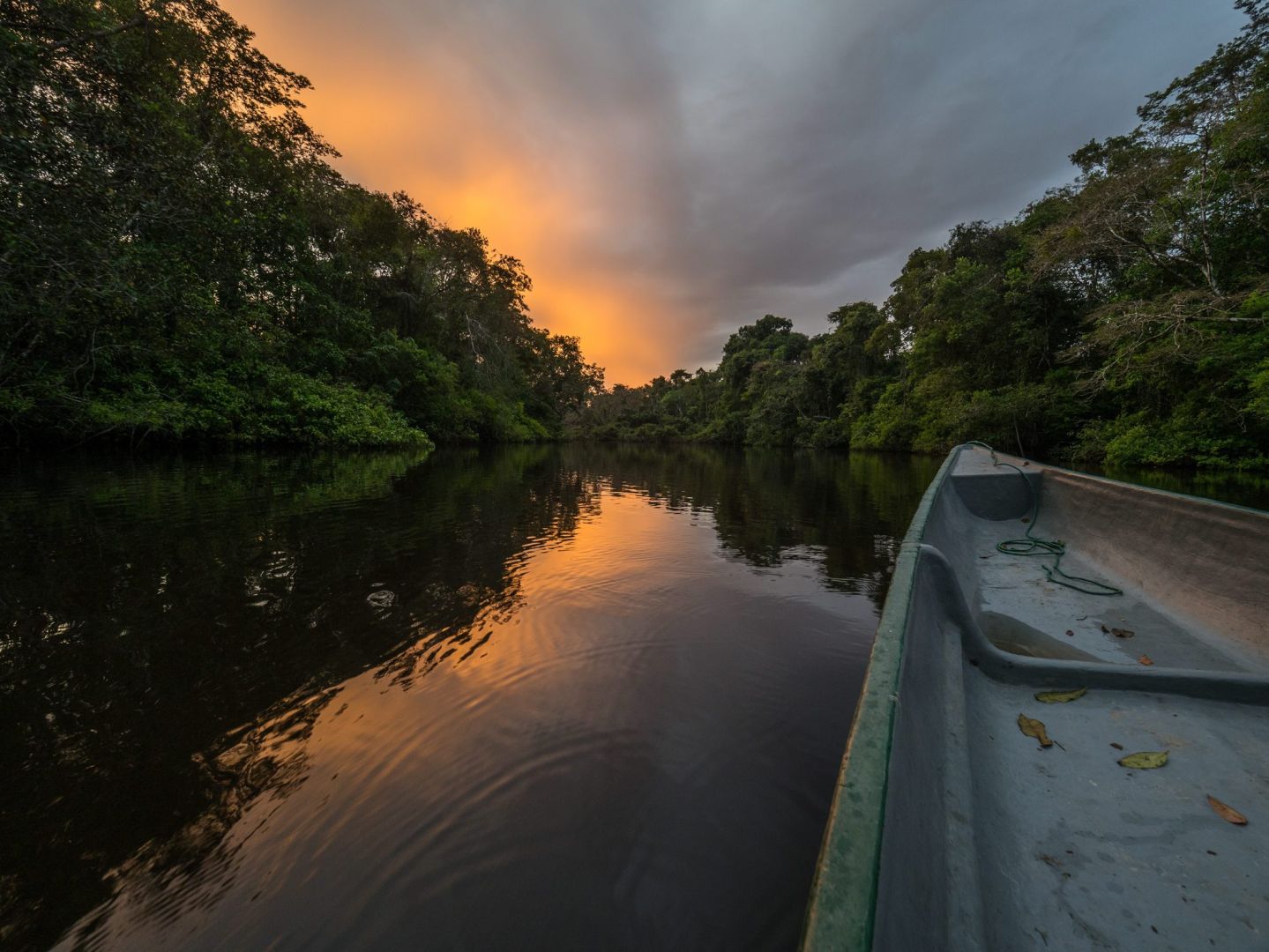 السحر والجمال في غابات الأمازون